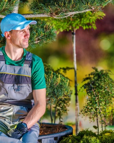 gardener-relaxing-under-tree.jpg